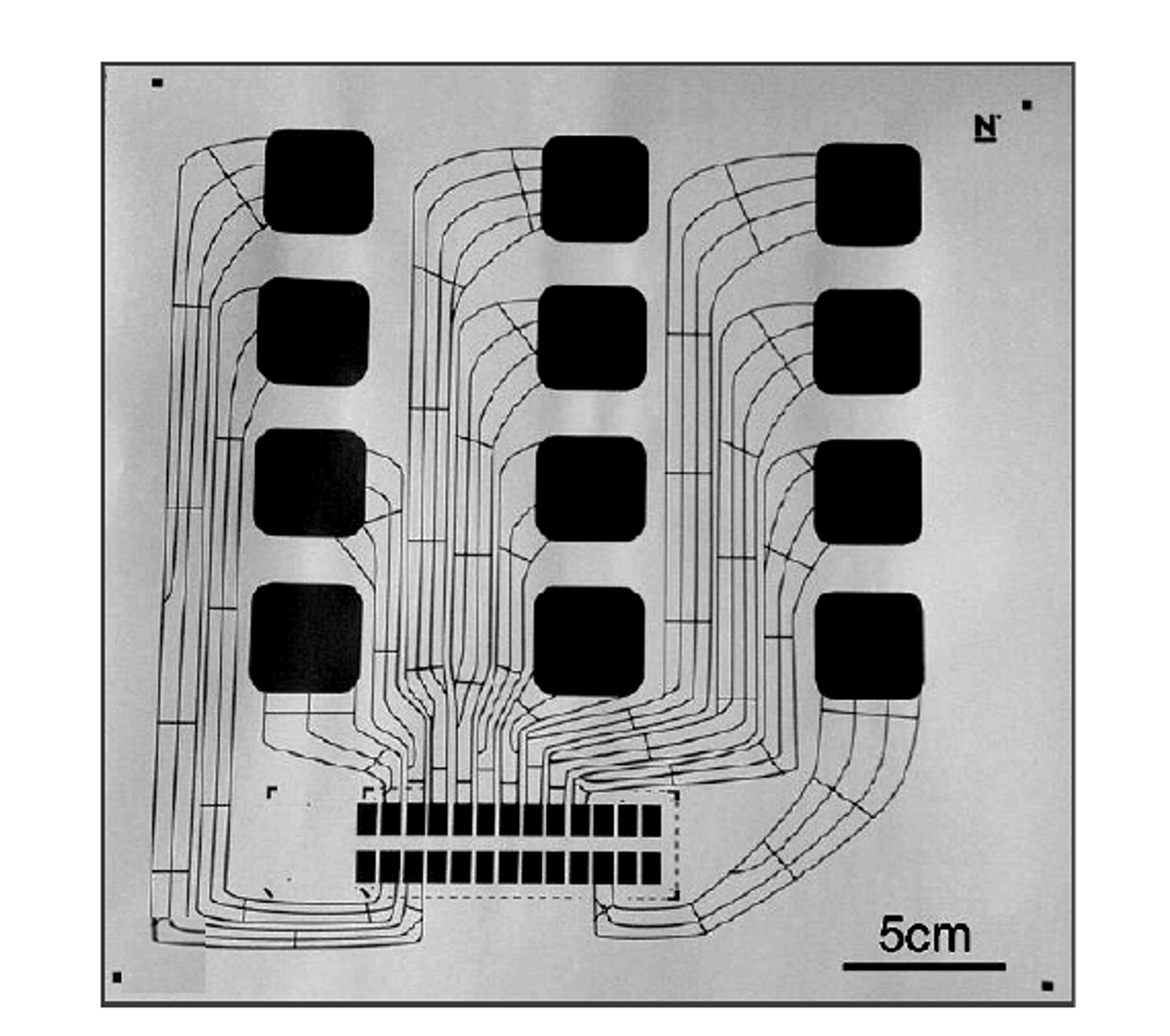 Figure 11.2. Printed capacitive circuit prepared from microfluidized graphene ink