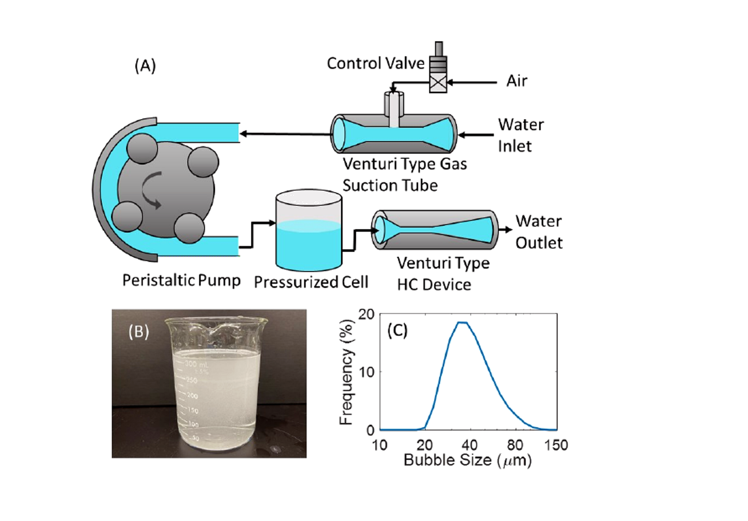 Figure 5.5. Auto gas suction Venturi loop, visible microbubble dispersion, and measured bubble size distribution
