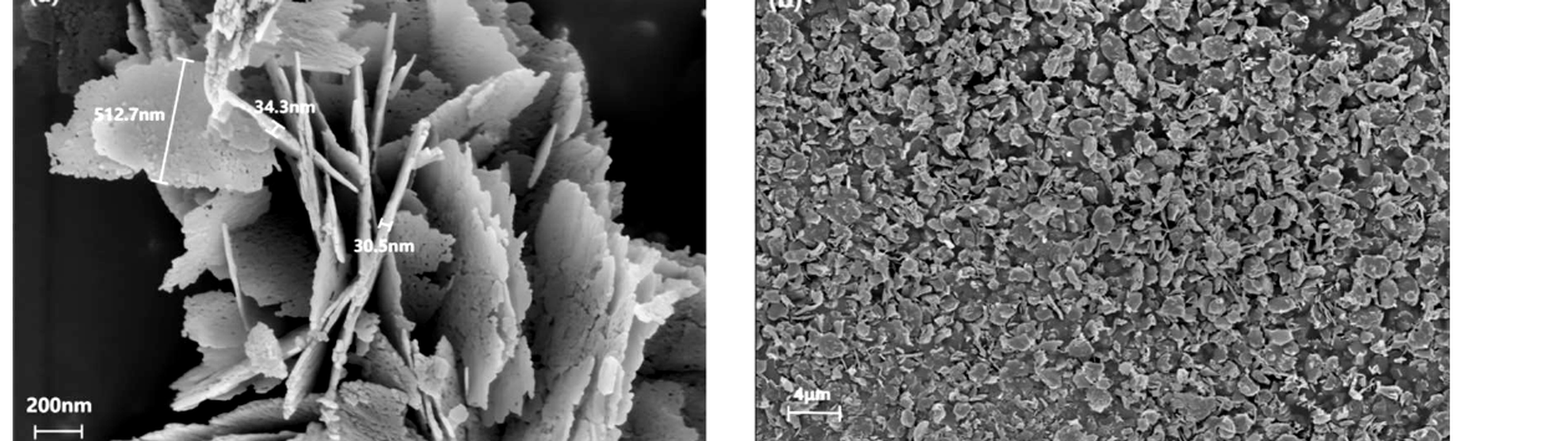 Figure 7.6. High and low magnification SEM images of sheetlike nano ZnO produced by hydrodynamic cavitation enhanced carbonization