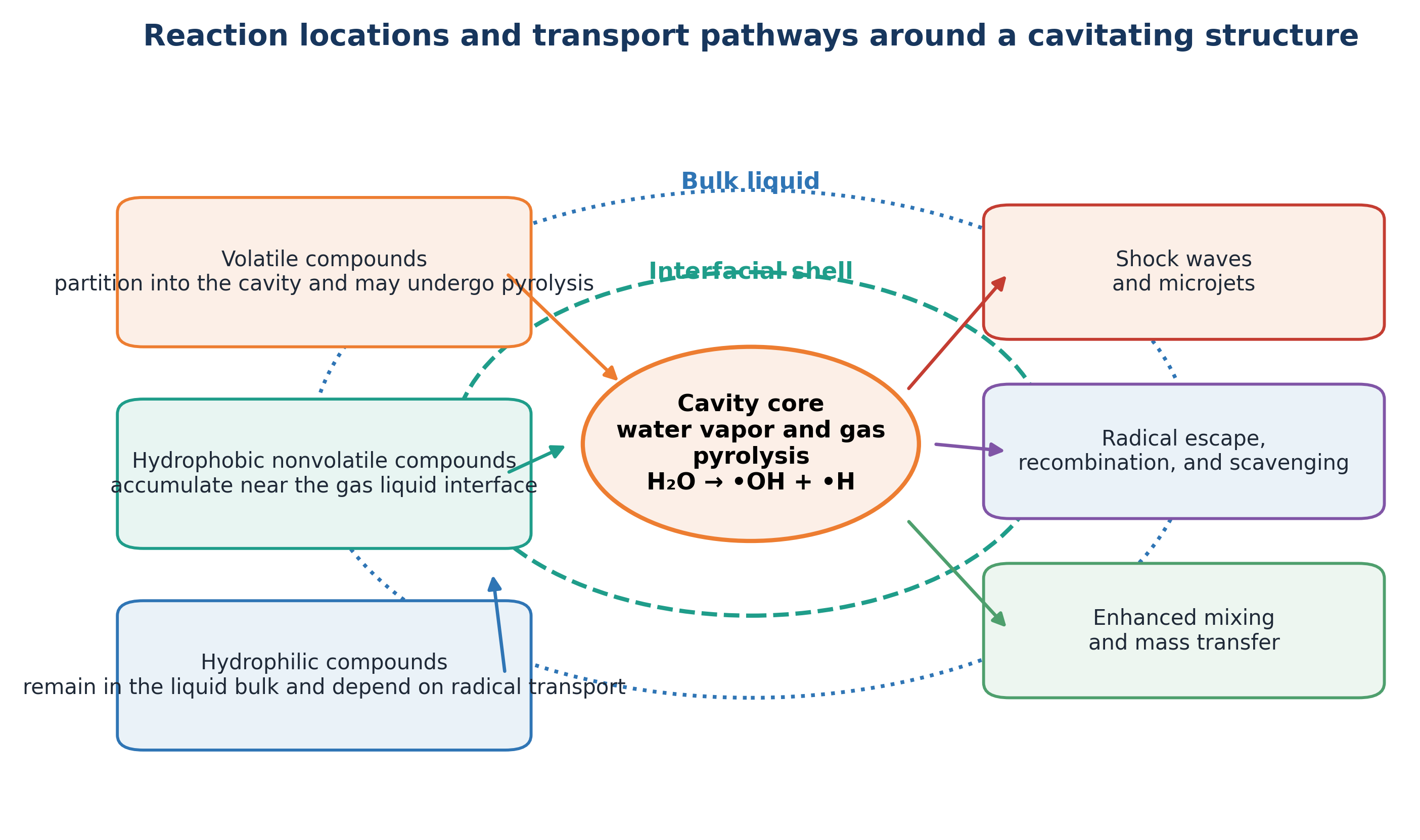 Figure 2.1. Reaction locations and transport pathways around a cavitating structure