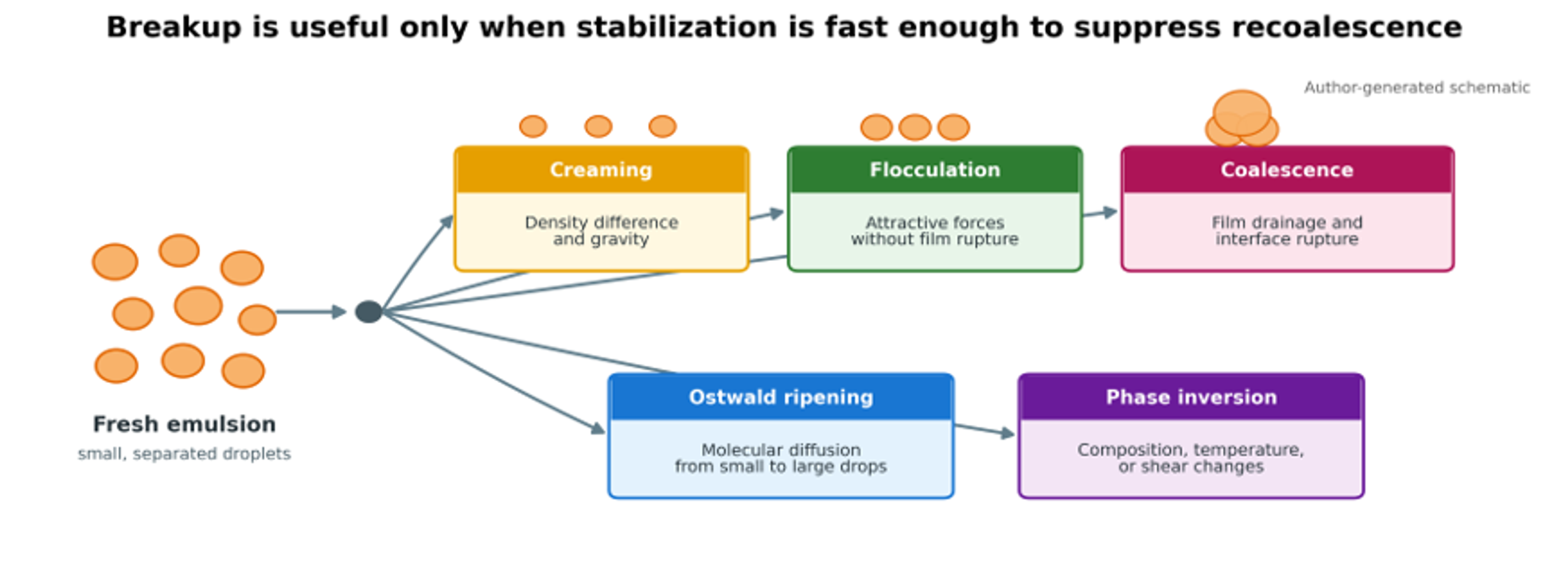 Figure 2. Principal physical destabilization pathways after emulsification. Creaming and sedimentation redistribute droplets, flocculation joins droplets without merging, coalescence merges droplets, Ostwald ripening transfers material through the continuous phase, and phase inversion changes emulsion topology