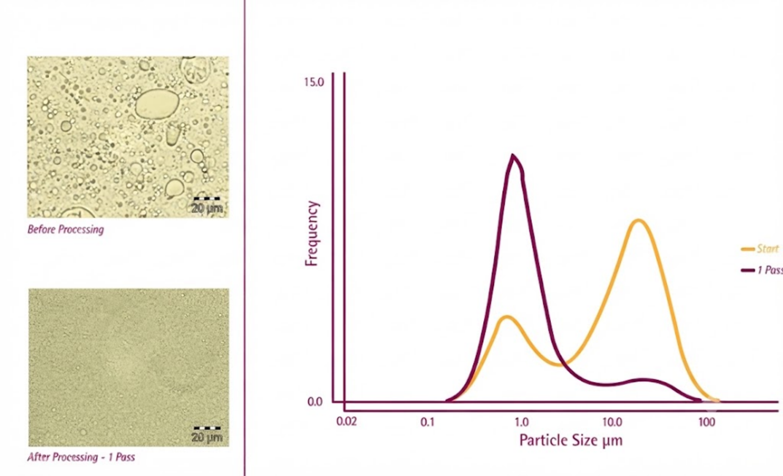 Figure 33. Anti-wrinkle cream example before and after one pass through the Microfluidizer M-110Y