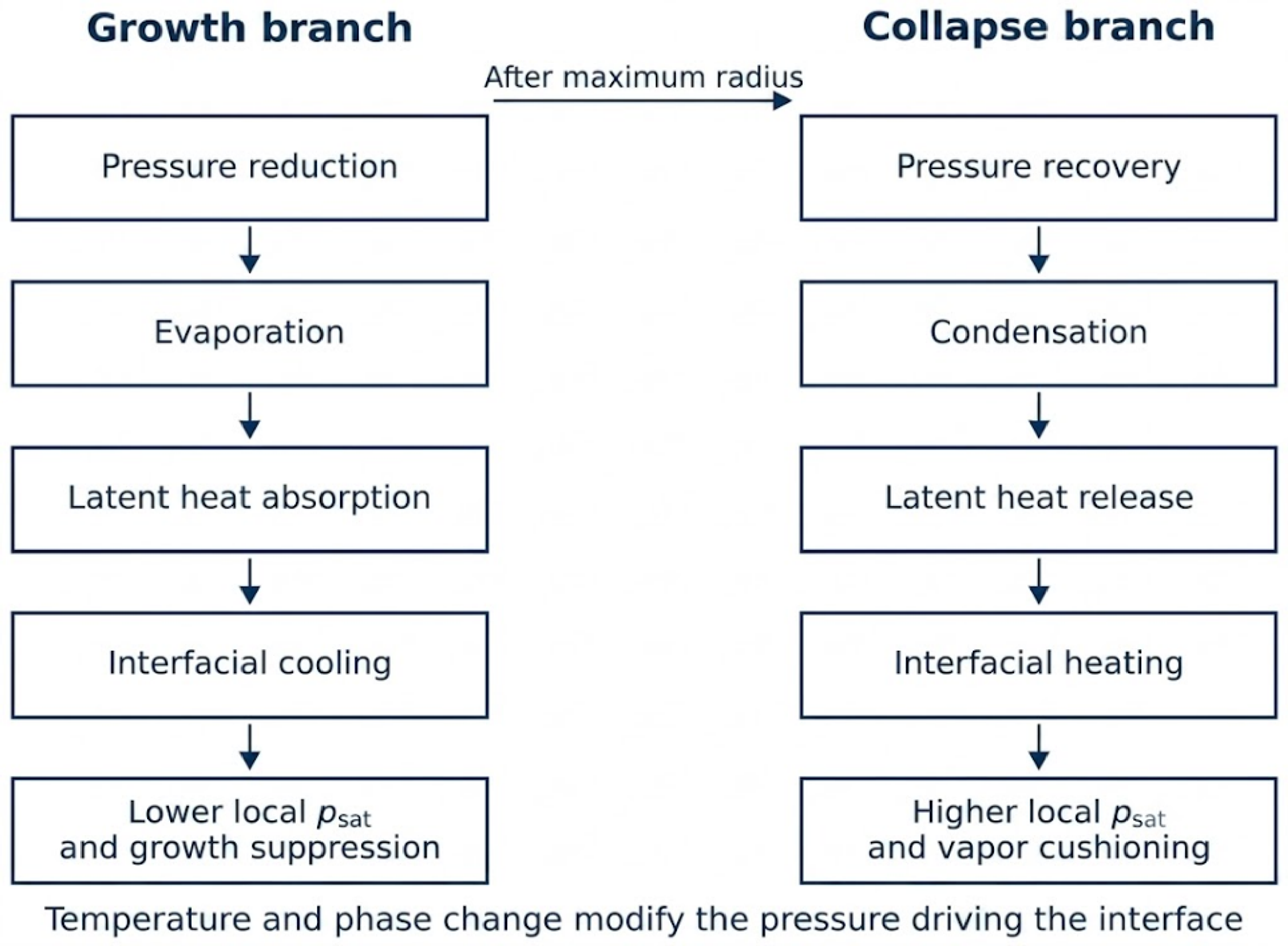 Figure 6. Thermodynamic feedback during bubble growth and collapse