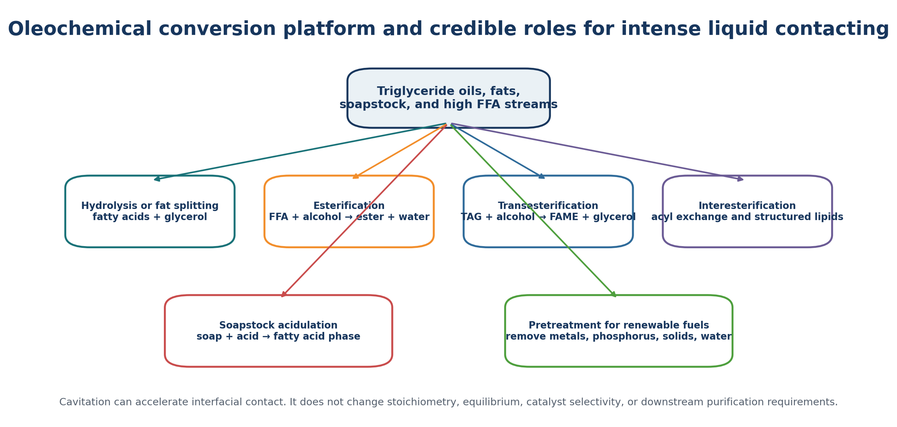 Figure 7.1. Oleochemical conversion platform and credible roles for intense liquid contacting (10)